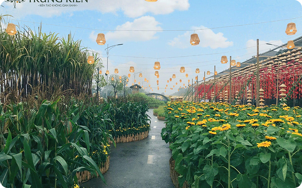 Thiết Kế Cảnh Quan Biệt Thự 2025 – Lên Ngôi Phong Cách Vườn Thiền & Sinh Thái #3