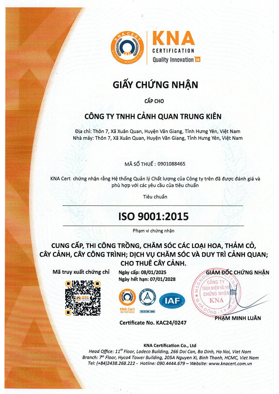 Chứng nhận hệ thống quản lý chất lượng ISO 9001:2015