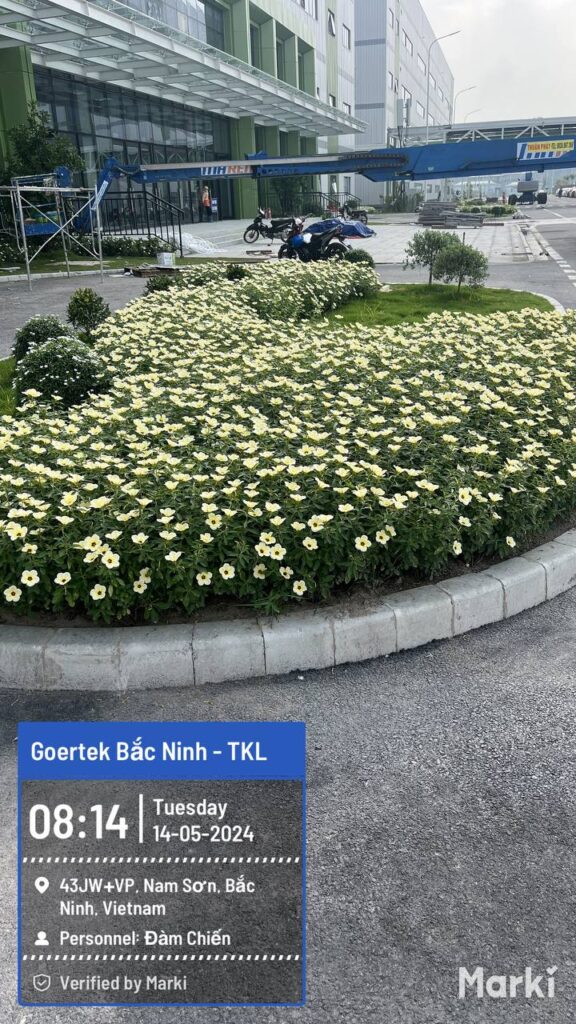 Bồn hoa bên nhà xưởng Goertek ngày 14/05/2024