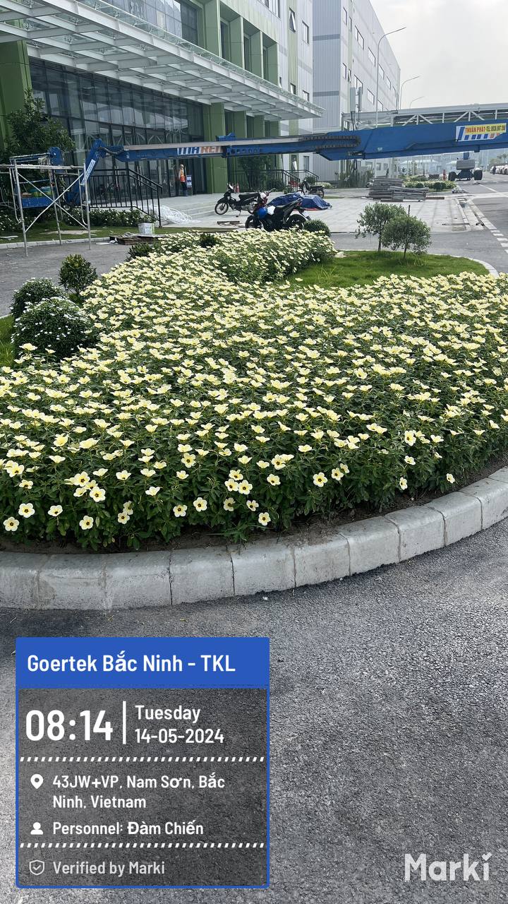 Sắc hoa bên nhà xưởng