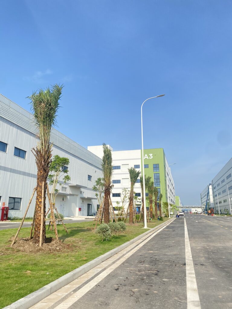 Hàng cây mới trồng dọc đường nội bộ khu A3 Nhà máy Goertek