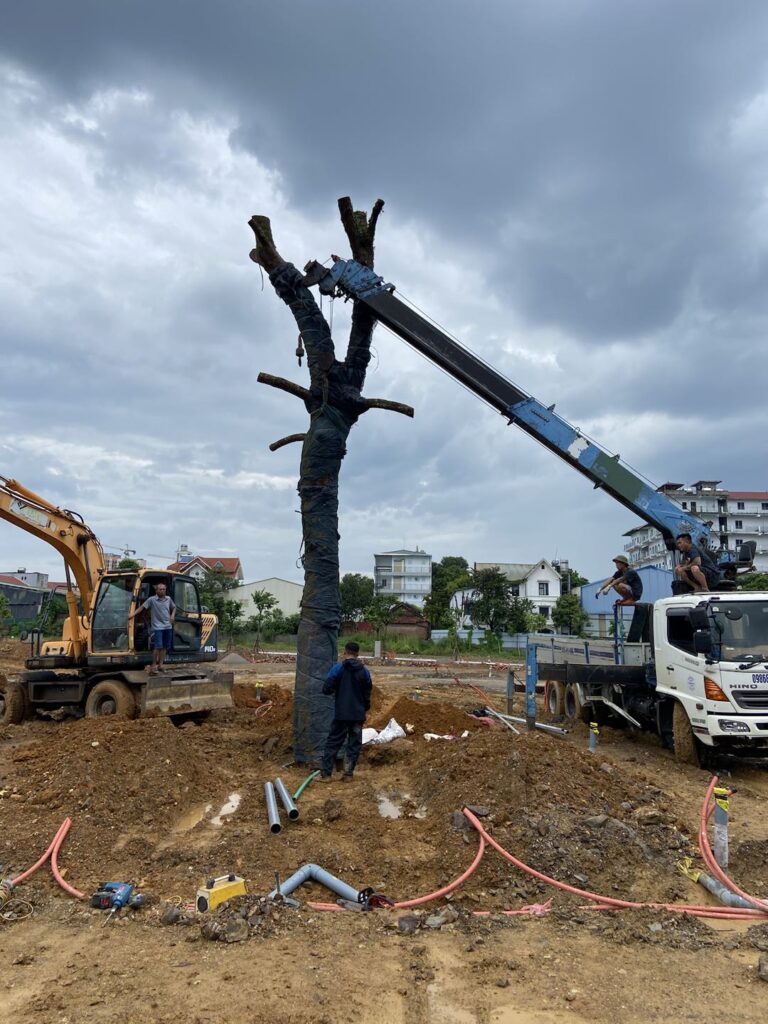 Cẩu trồng cây lớn tại dự án Khu nhà ở Hòa Lạc