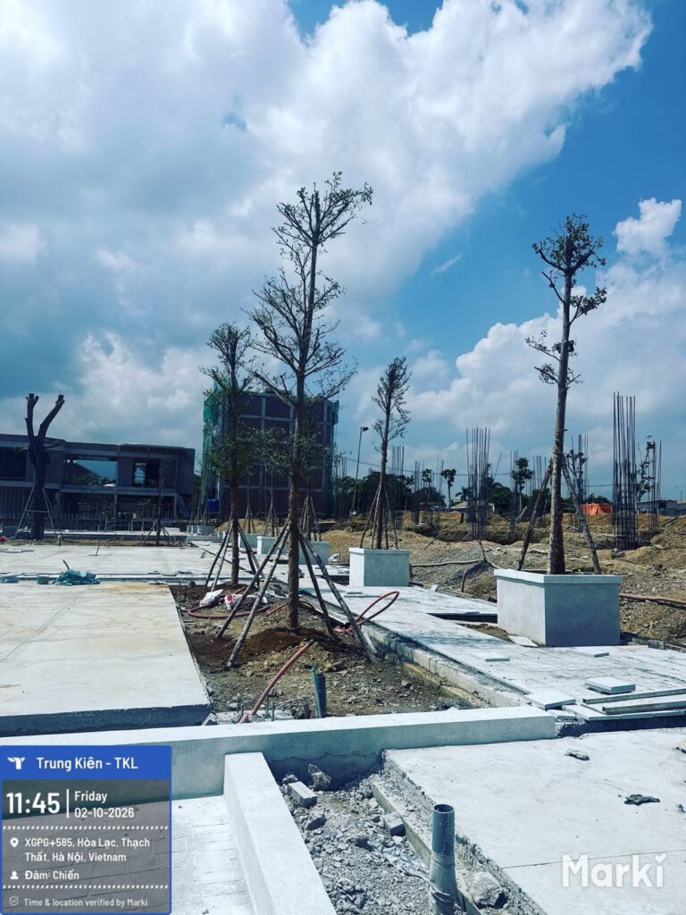 Hàng cây được chống giữ tại Hoa Lac Metro City