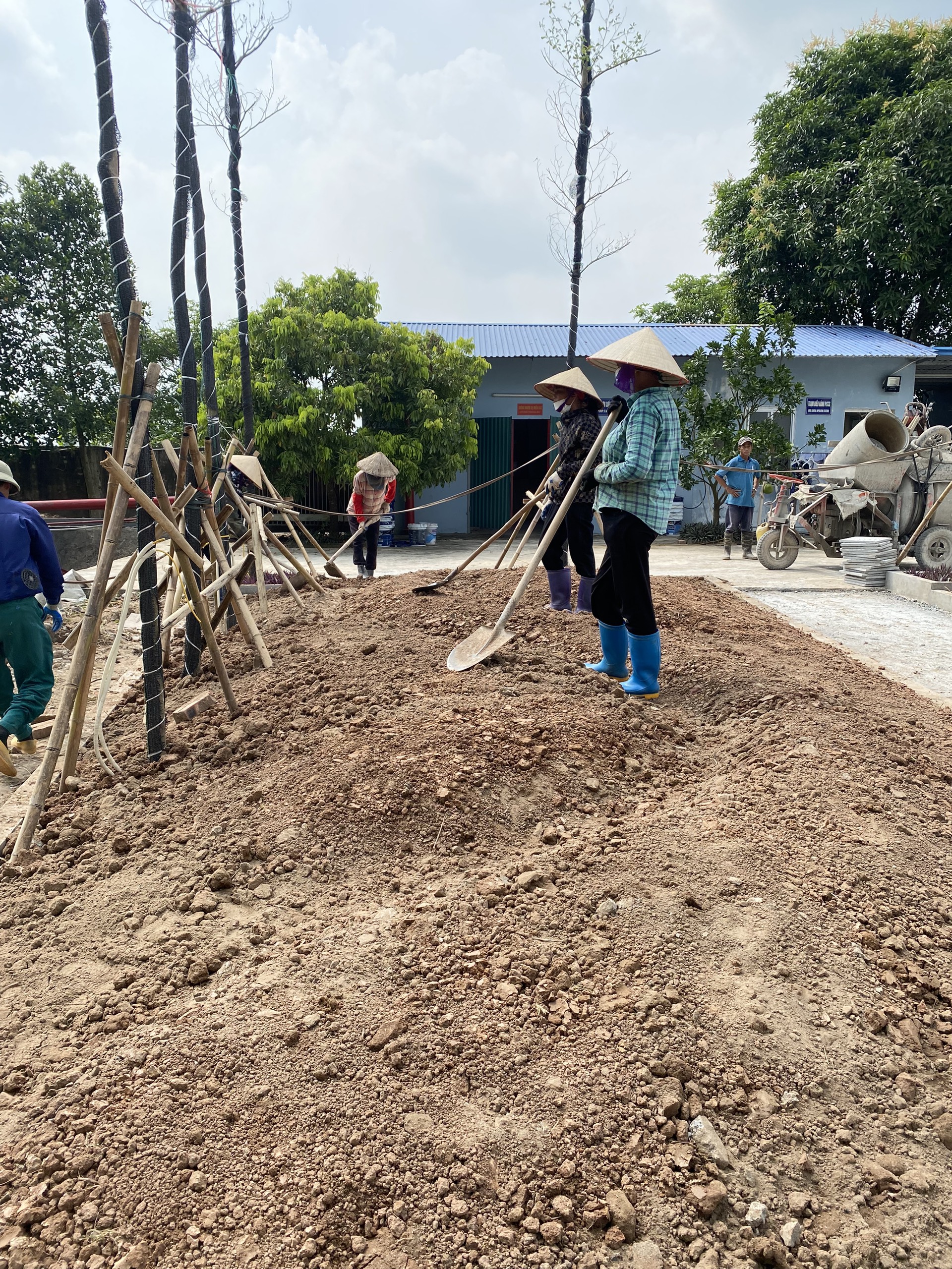 Chuẩn bị đất và trồng cây