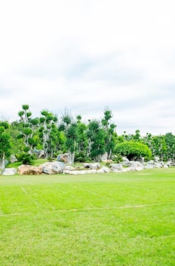 Vườn Ươm 6