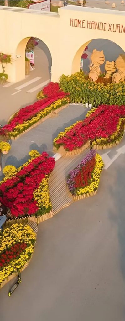 Đường hoa với các dải hoa nhiều màu