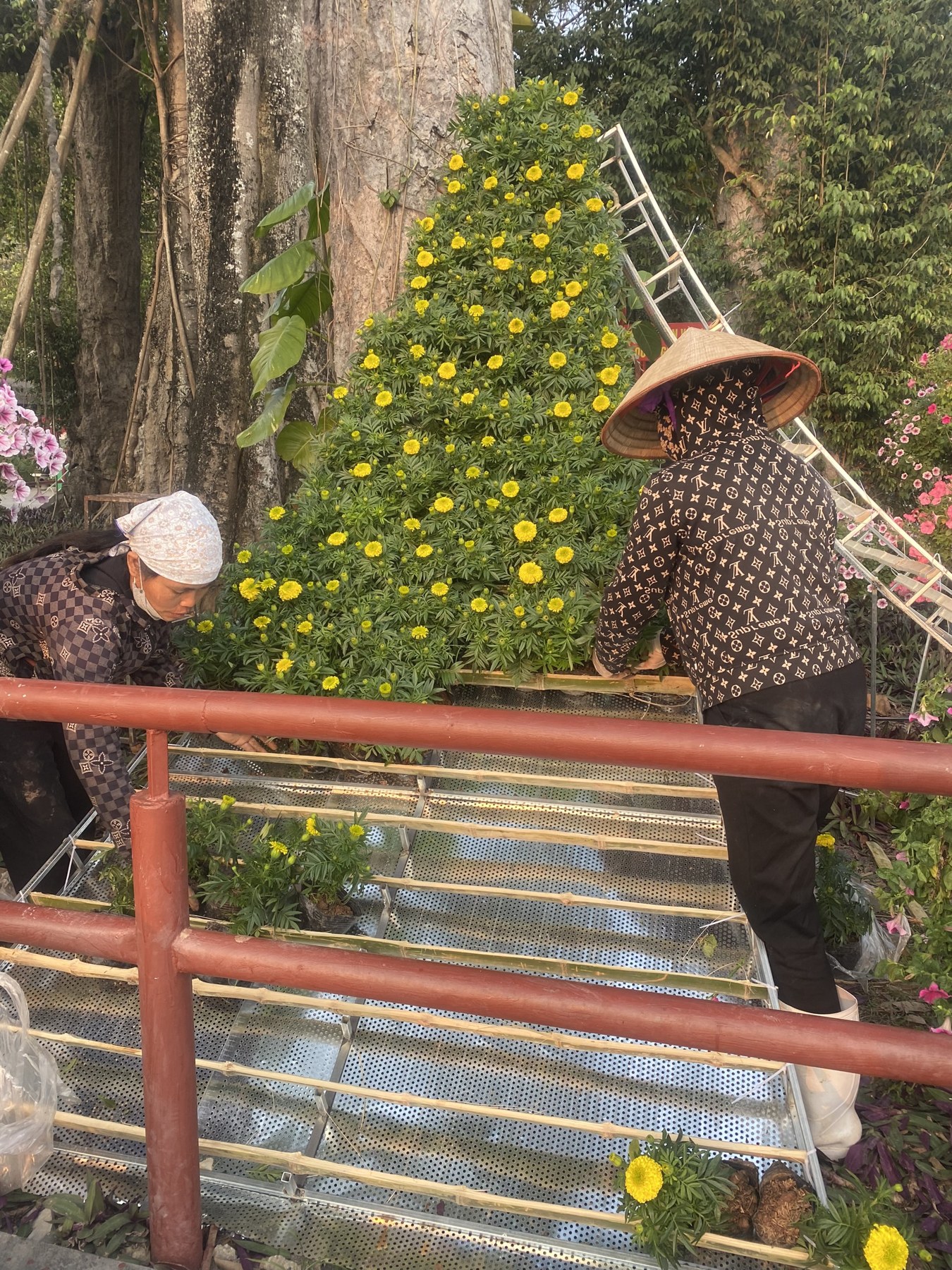 Xếp hoa lên khung thác