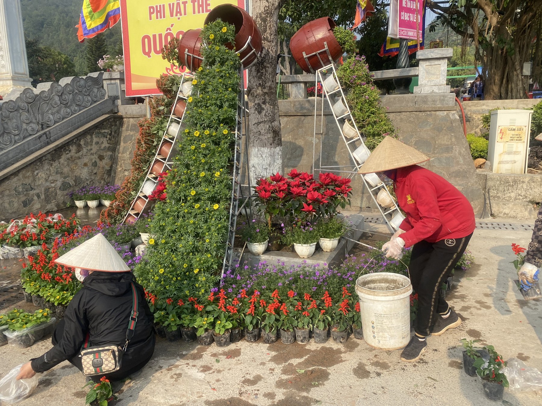Chỉnh từng lớp hoa ở chân tiểu cảnh