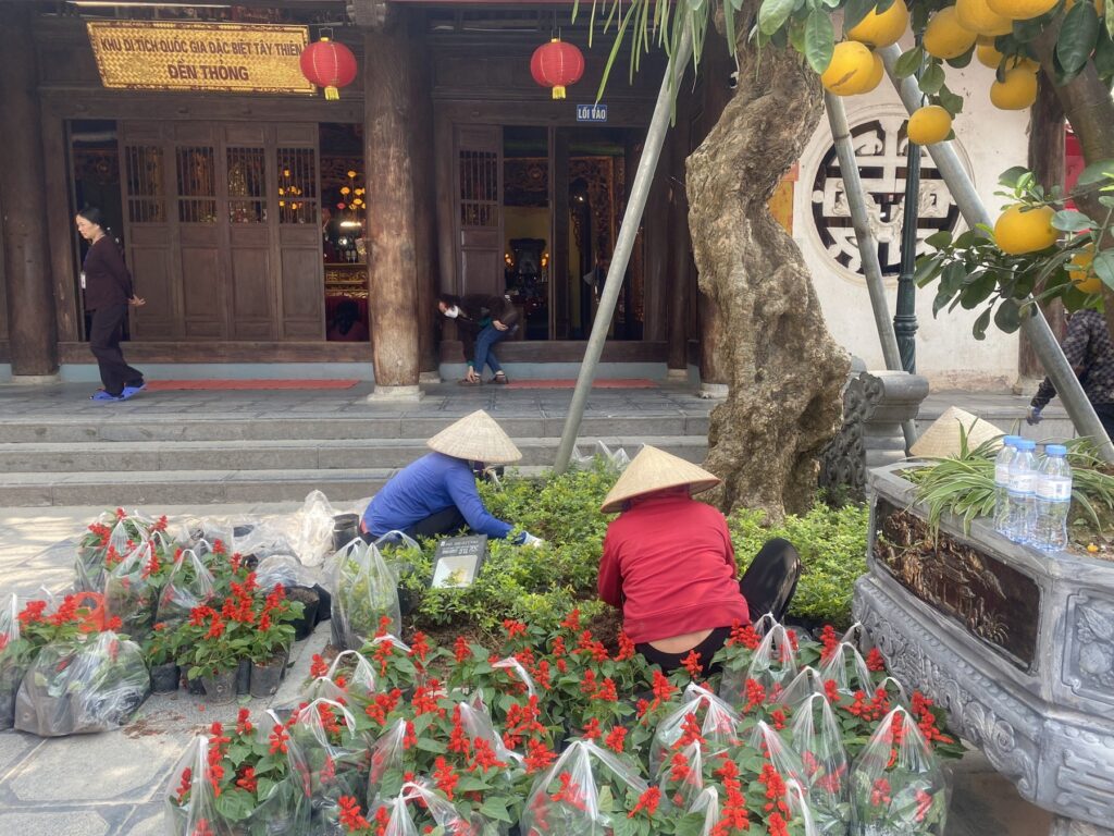 Thi công bồn hoa bên gốc cây trước Đền Thỏng