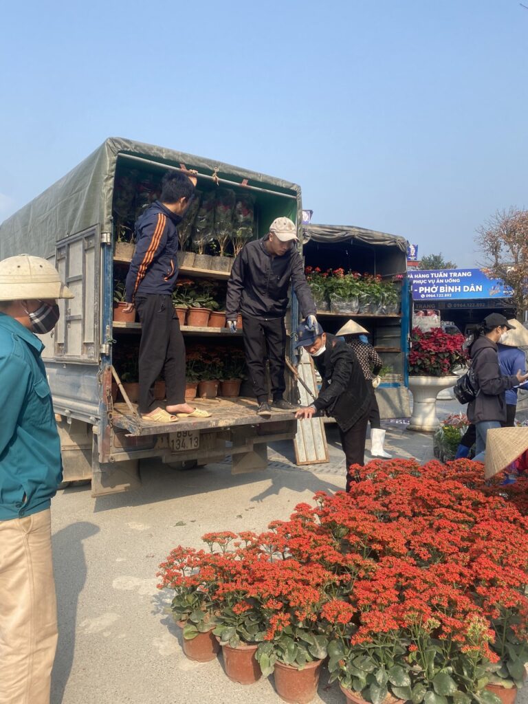 Đưa các chậu hoa xuống xe tại Tây Thiên