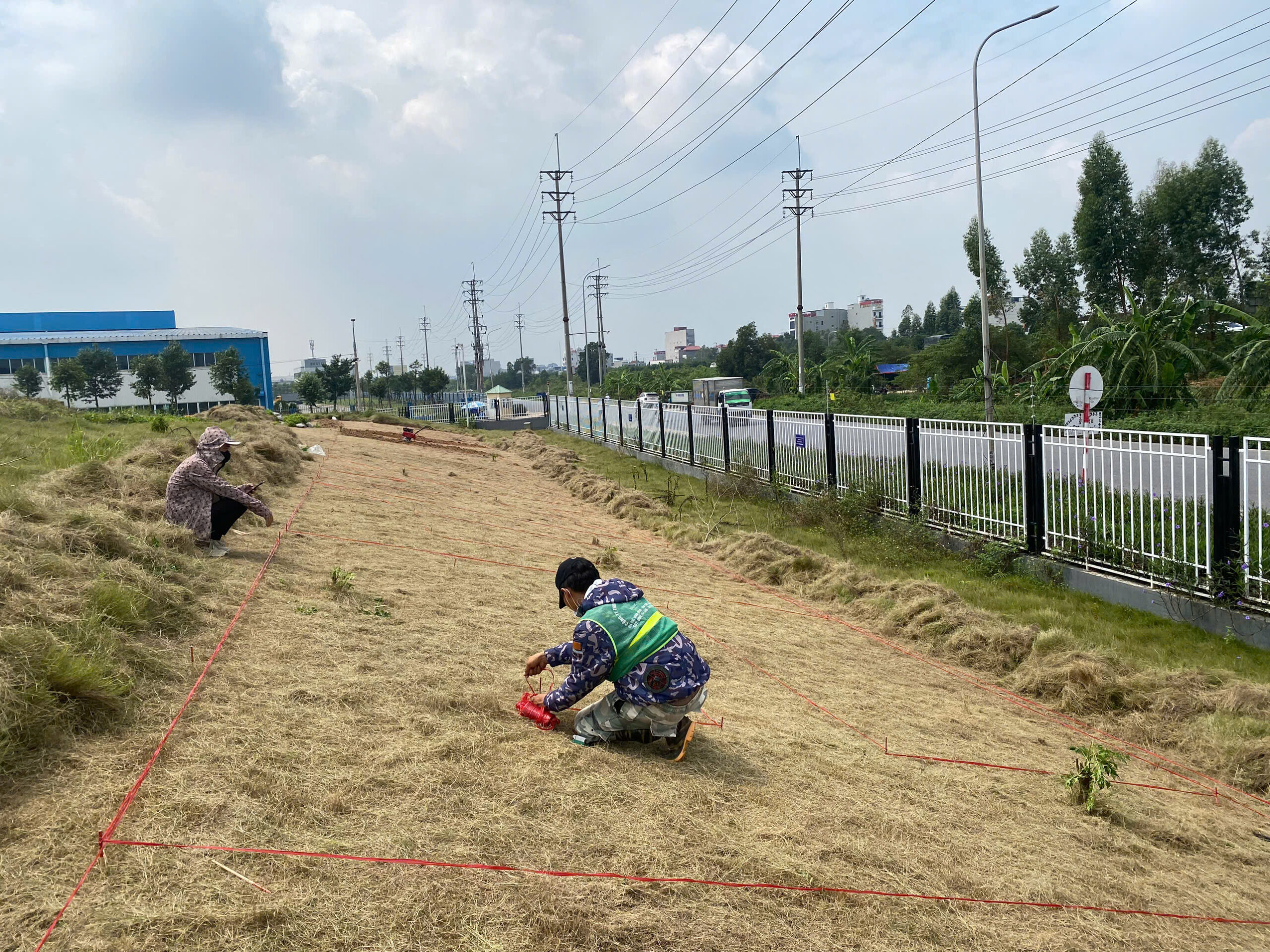 Chuẩn bị mặt bằng và định vị khu trồng