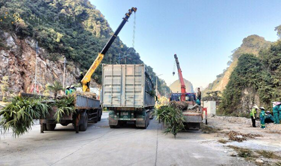 Vận chuyển vật tư, chuẩn bị thi công