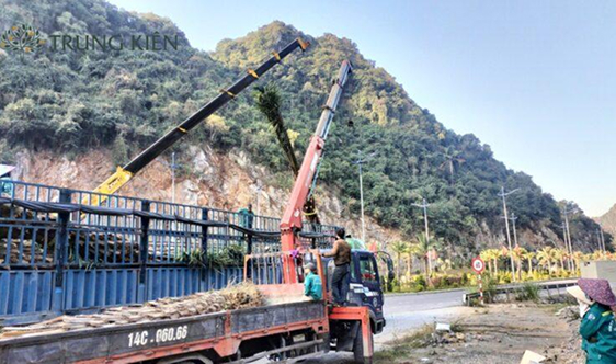Triển khai các hạng mục cảnh quan