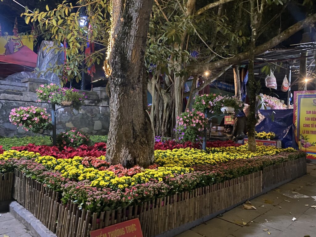 Các dải hoa nhiều màu quanh gốc cây, có viền tre tại khu danh thắng Tây Thiên.