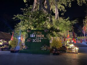 Tiểu cảnh Lễ hội Tây Thiên 2024 với phông xanh, hoa tươi và cây mai trang trí vào buổi tối.