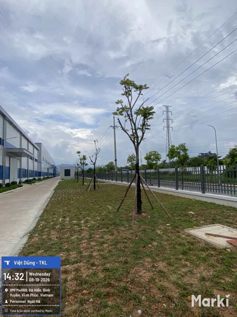 Hàng cây có cọc chống tại Nhà máy Nhôm Việt Dũng
