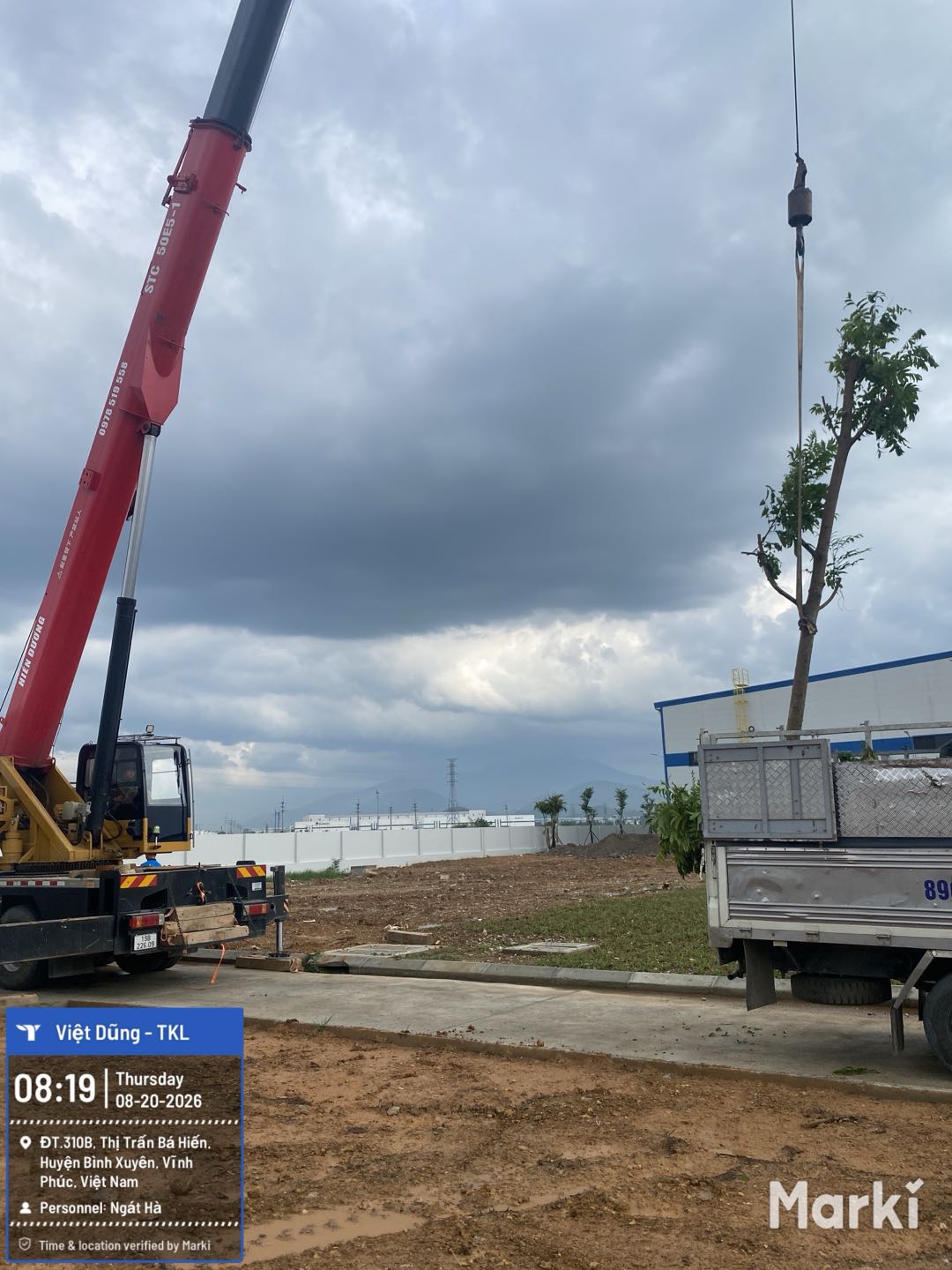 Vận chuyển, cẩu cây phục vụ thi công cảnh quan