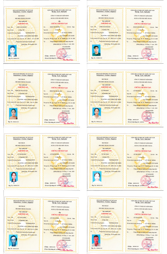 Chứng chỉ 3