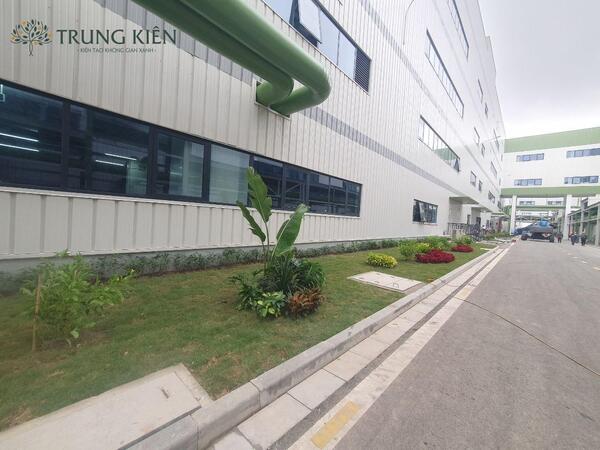 Bàn giao, hỗ trợ trồng và bảo hành định kỳ