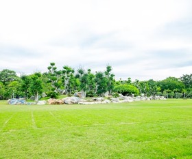 Vườn ươm 6