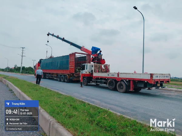 Kỹ thuật đánh bứng và xử lý bầu đất chuyên sâu