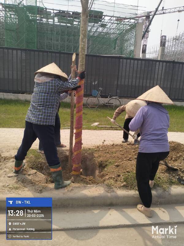Quy trình phối hợp triển khai dự án cảnh quan khu đô thị