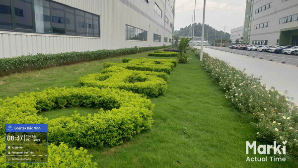 Thi công hạng mục cây xanh cho doanh nghiệp FDI