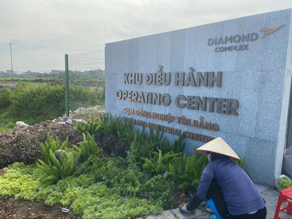 Nhà thầu cây xanh cho doanh nghiệp FDI