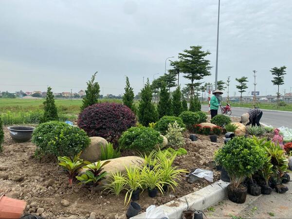 Thi công cảnh quan cây xanh cho doanh nghiệp FDI