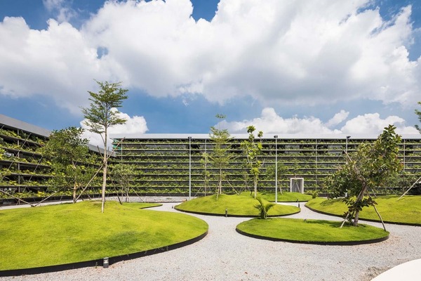 Hạng mục tiểu cảnh và vật liệu cứng (Hardscape)