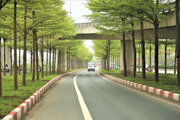 Hệ thống cây xanh trục đường nội khu