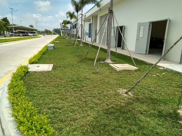 Các hạng mục chính trong thi công cây xanh nhà máy