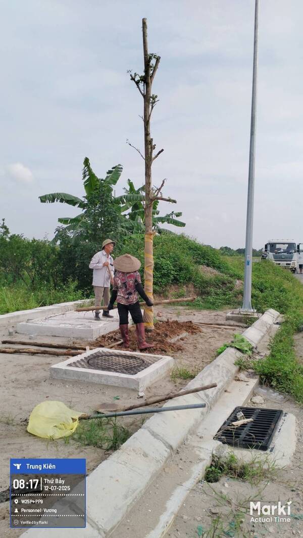 Tổng hợp dự án thực tế thi công cây xanh nhà máy tại Trung Kiên Landscape