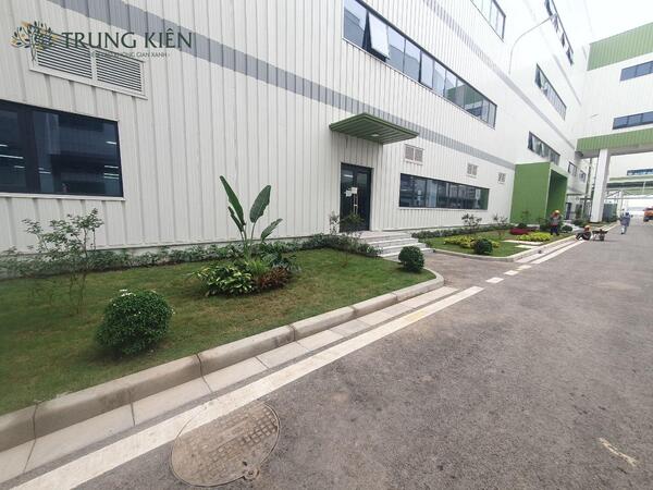 Đối tác thi công cây xanh nhà máy uy tín, đảm bảo tiến độ