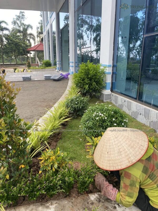 Chuẩn bị nguồn lực, vật tư thi công cây xanh