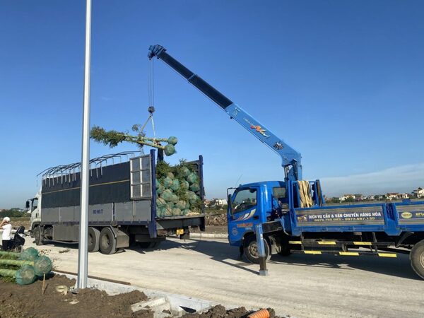 Tổng thầu thi công cảnh quan chuyên nghiệp, trọn gói từ A – Z