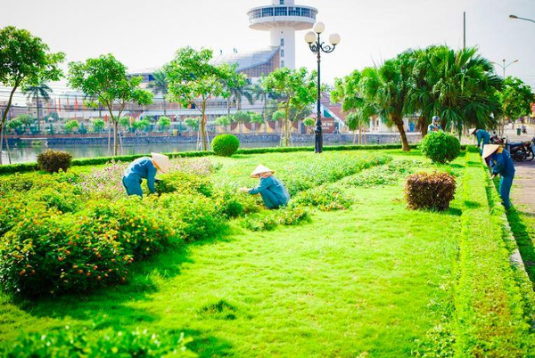 Đơn vị bảo dưỡng, duy tu cây xanh khu đô thị chuẩn kỹ thuật, giá tốt