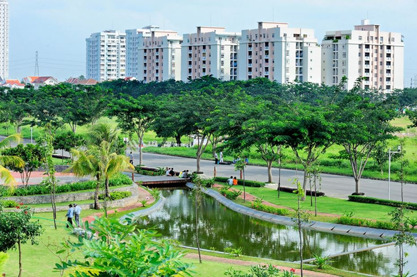 Xu hướng chuyển từ “trồng cây đơn lẻ” sang “quy hoạch cảnh quan tổng thể”