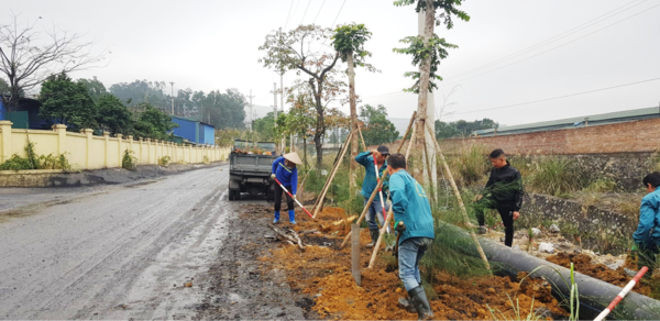 Đội ngũ kỹ thuật và quy trình thi công bài bản