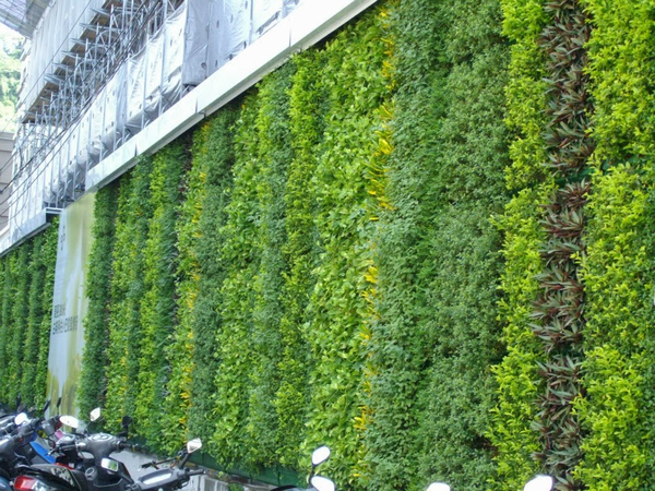 Những lưu ý khi thi công cảnh quan khu đô thị Ecopark