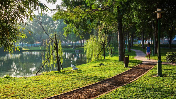 Thiết kế cảnh quan và lựa chọn chủng loại cây trồng