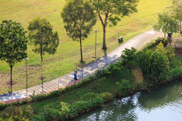 Triển khai thi công và trồng cây đúng kỹ thuật