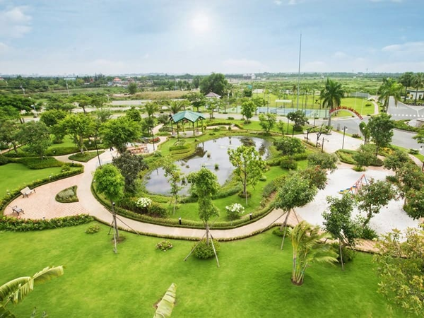 Mẫu thi công cây xanh
