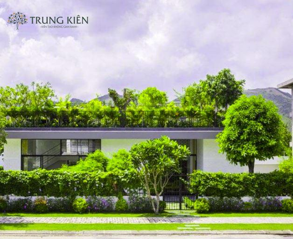 Triển khai thi công và hoàn thiện