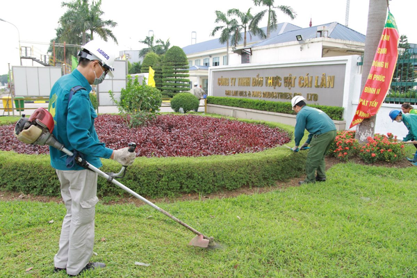 Tiêu chuẩn hệ thống tưới và chăm sóc cây xanh
