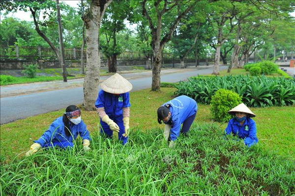 Đội ngũ chuyên môn cao, thi công đúng kỹ thuật