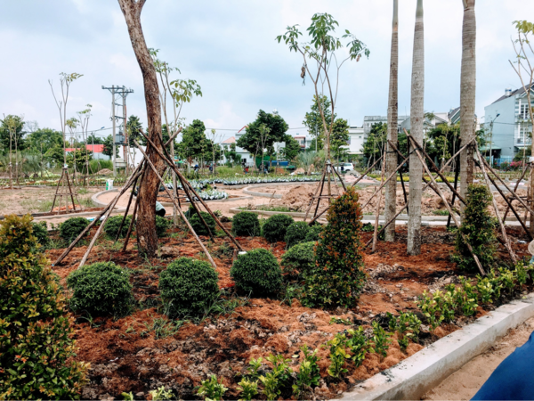Thiết kế thi công cây xanh khu chế xuất quanh nhà xưởng