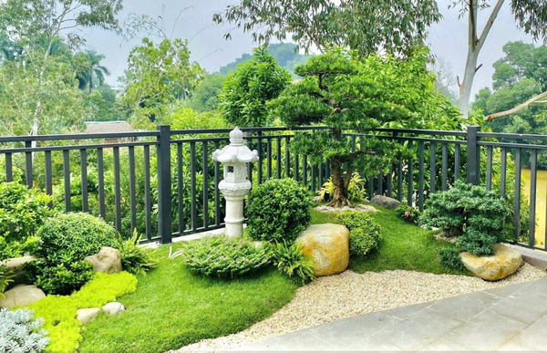 Thi công cây xanh khu chế xuất kết hợp vườn hoa tiểu cảnh