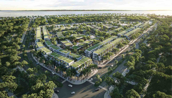 Lựa chọn cây thích nghi tốt với thổ nhưỡng