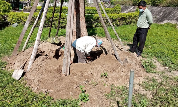 Bước 4: Trồng cây & cố định kỹ thuật